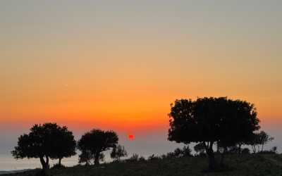 Wycieczka fakultatywna, Marathon [109] Jeep Safari - Narodowy Park Akamas z Ayia Napa