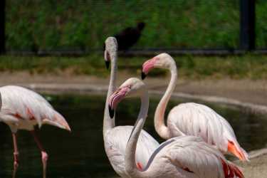 Wycieczka fakultatywna, Z Larnaki Marathon [15] do Ayia Napa, Lefkary i więcej