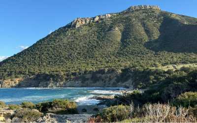 Wycieczka fakultatywna, Wycieczka Marathon Jeep Safari - Narodowy Park Akamas z Larnaki