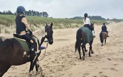 Obóz młodzieżowy, Dąbki - obóz konny nad morzem OW Duet , 10 dni 10-16 lat