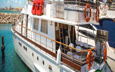 Dream of Turtles ST Georgios II rejs poranny z Protaras - marzenie zobaczyć żółwie dla rodzin